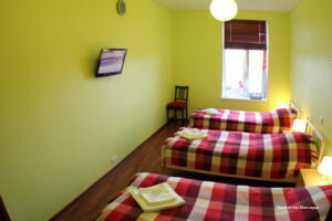 Гостевой дом Мансарда Санкт-Петербург-48