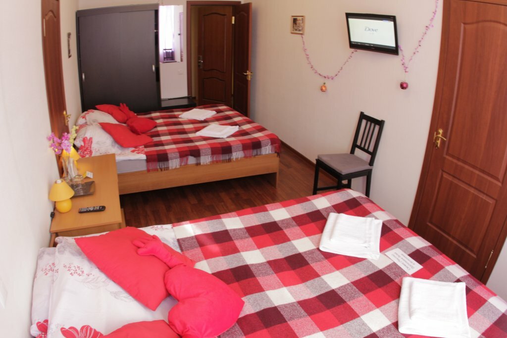 Гостевой дом Мансарда Санкт-Петербург-66