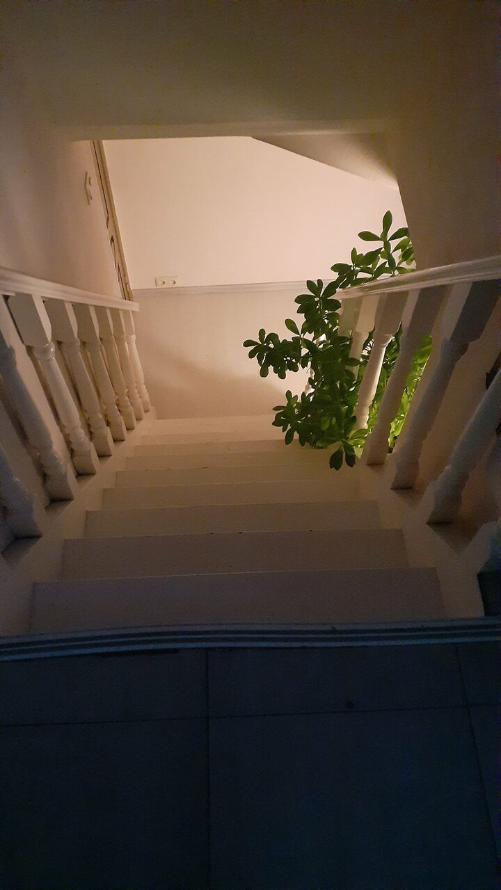 Гостевой дом Мансарда Санкт-Петербург-174