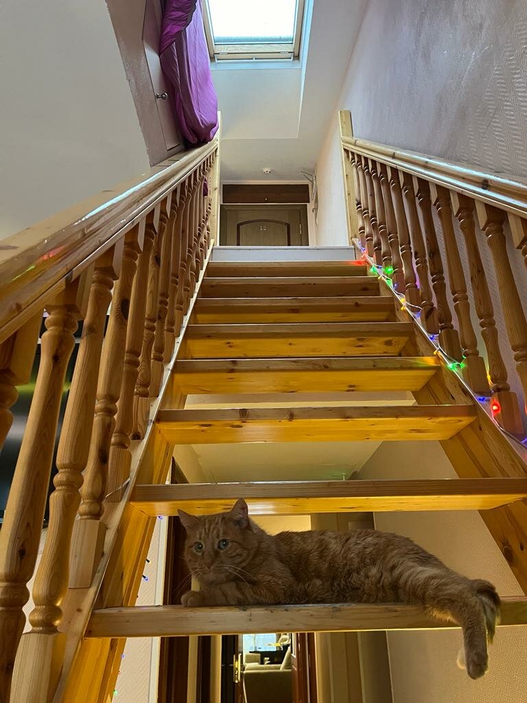 Гостевой дом Мансарда Санкт-Петербург-98