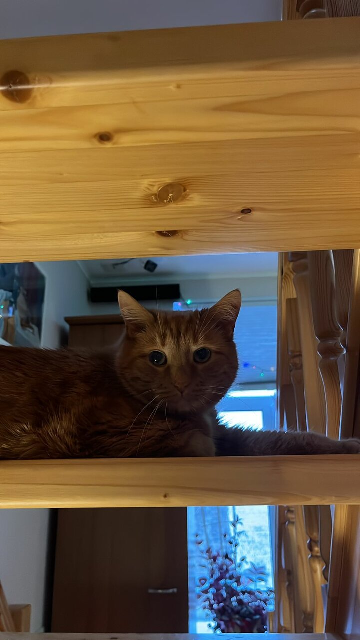 Гостевой дом Мансарда Санкт-Петербург-156