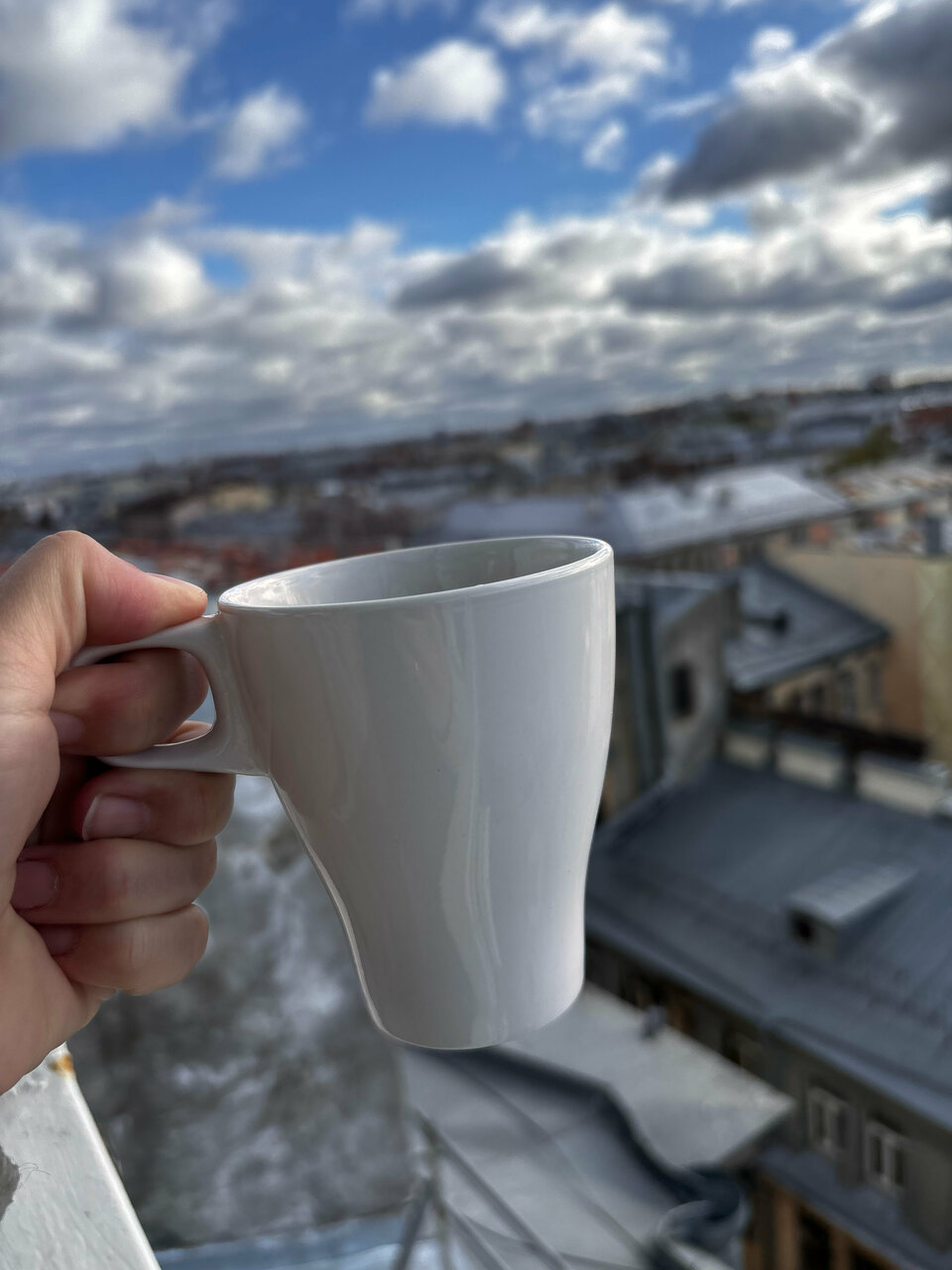 Гостевой дом Мансарда Санкт-Петербург-95