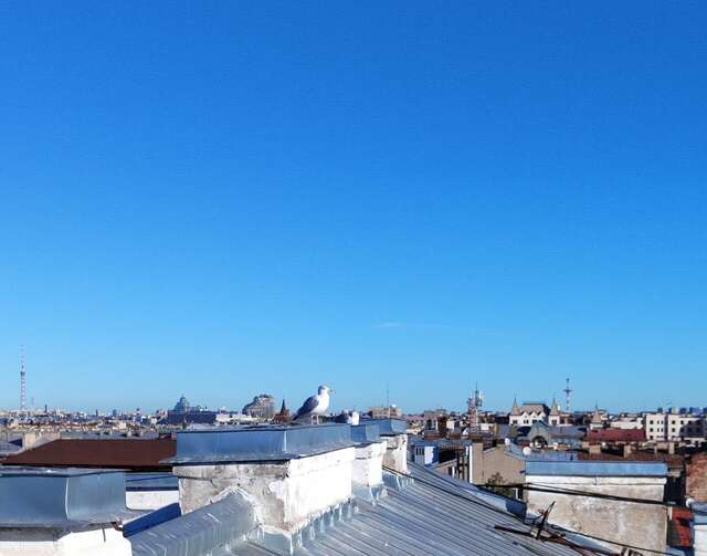 Гостевой дом Мансарда Санкт-Петербург-163