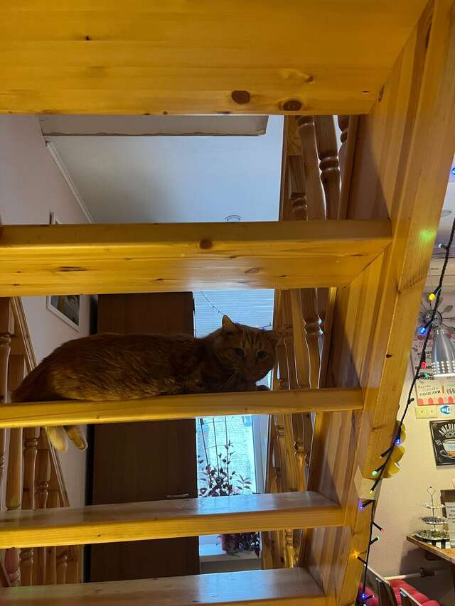 Гостевой дом Мансарда Санкт-Петербург-116