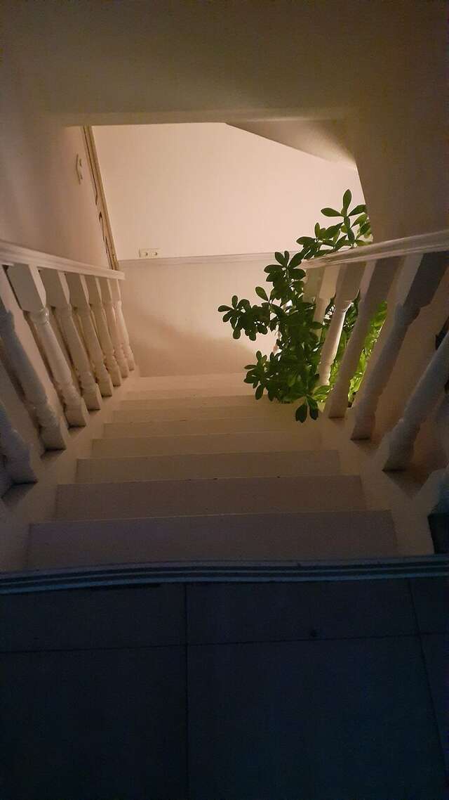 Гостевой дом Мансарда Санкт-Петербург-173