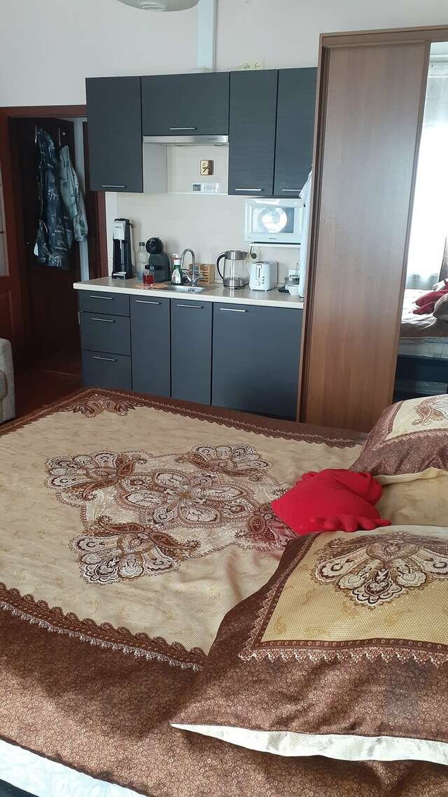 Гостевой дом Мансарда Санкт-Петербург-115