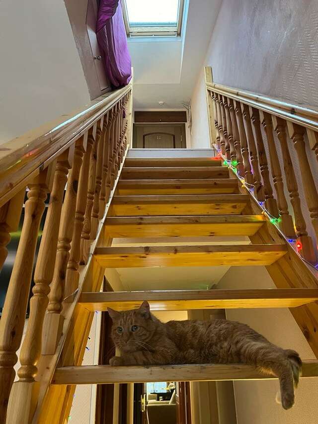 Гостевой дом Мансарда Санкт-Петербург-97