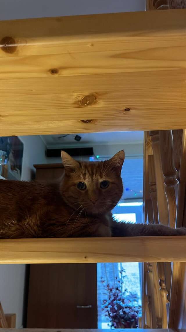 Гостевой дом Мансарда Санкт-Петербург-155